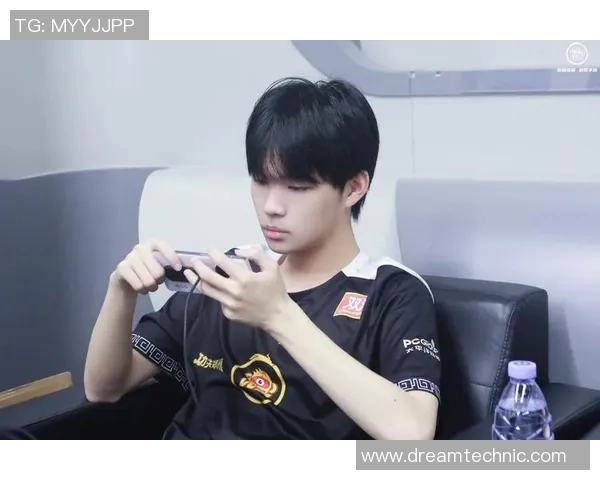 王者荣耀深度解析:WE战队选手个人能力的秘密与成长之路