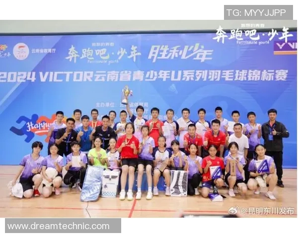 南京羽毛球队在锦标赛中的精彩表现与实力分析