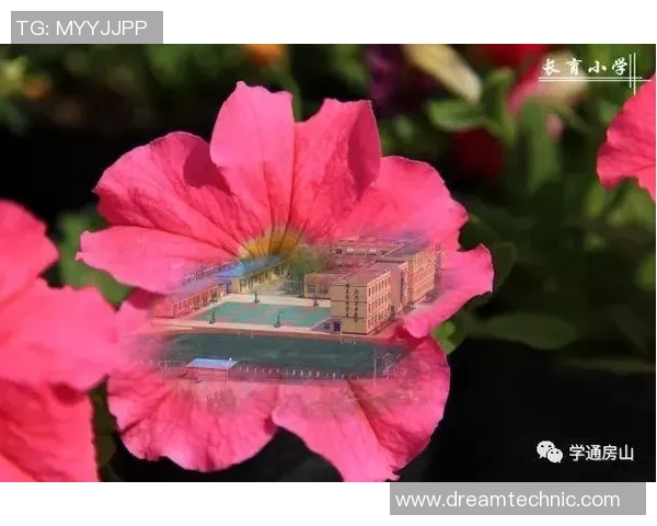 周丽的足球人生:从绿茵场到人生舞台的深度对话与启示 周丽的足球人生:从绿茵场到人生舞台的深度对话与启示