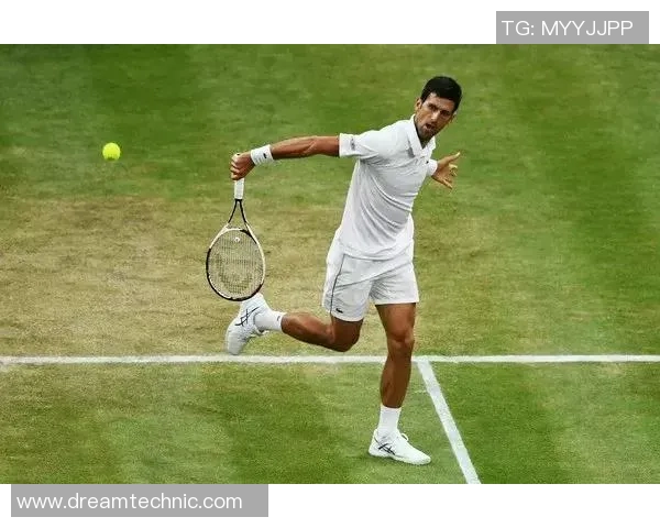 对话张伟：回顾我的网球生涯与未来展望的深度交流