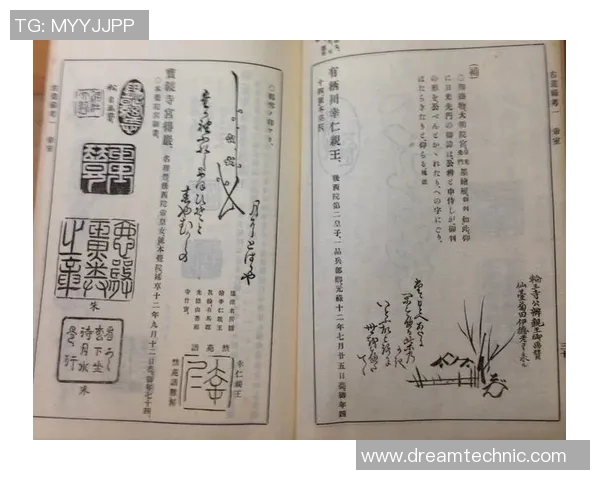 岐阜与德岛的对决分析及赛季表现比较探讨