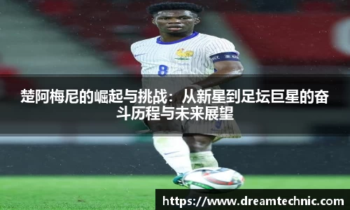 xk星空官方
