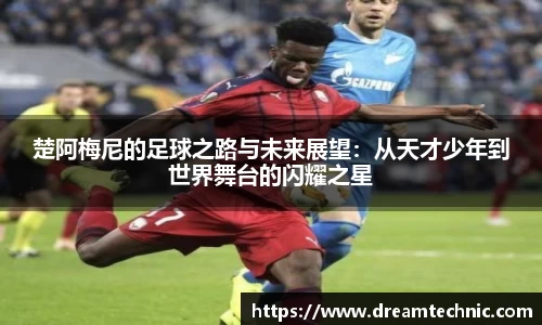 xk星空官方
